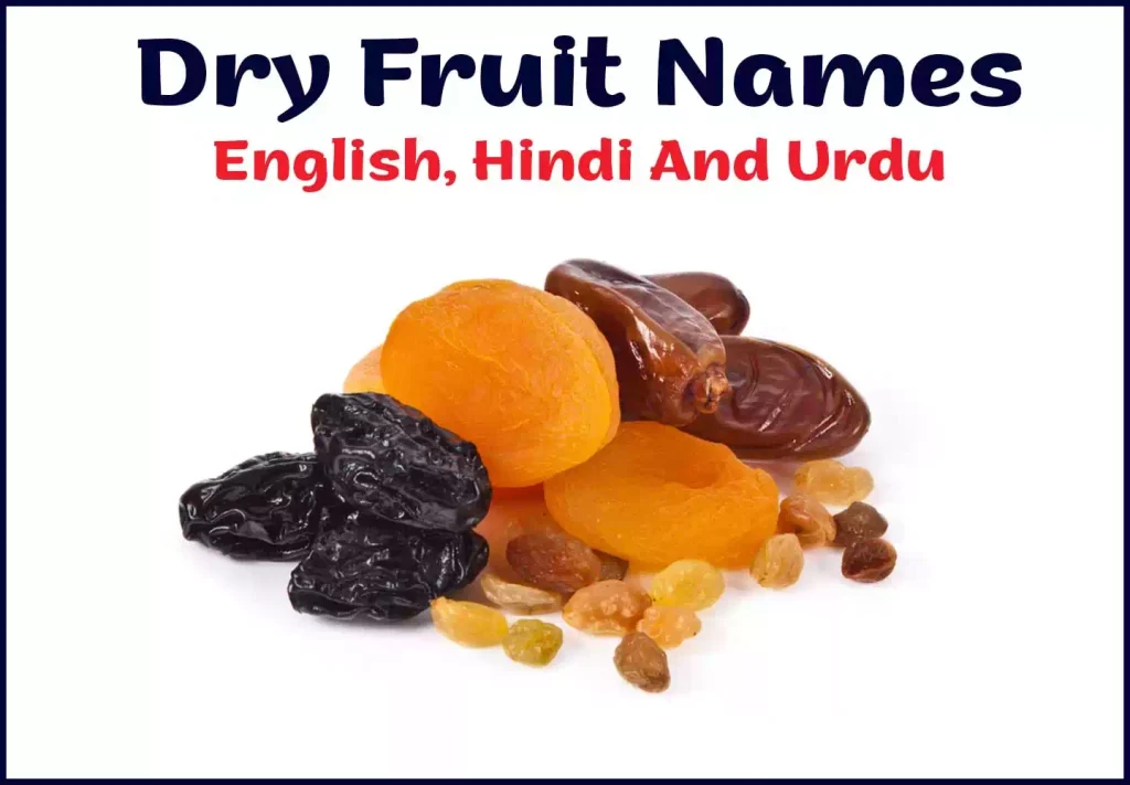 Dry Fruit Names