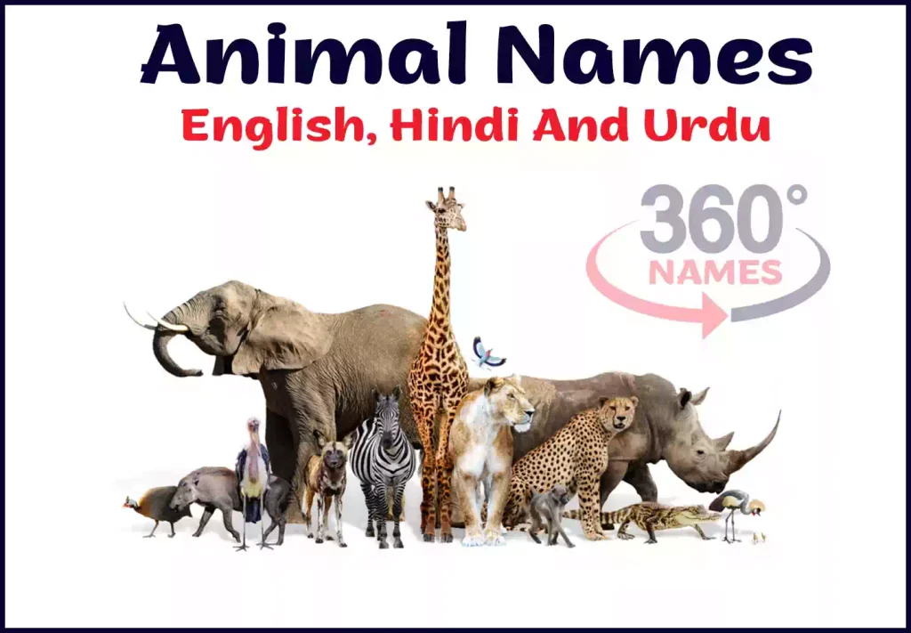 Animal Names